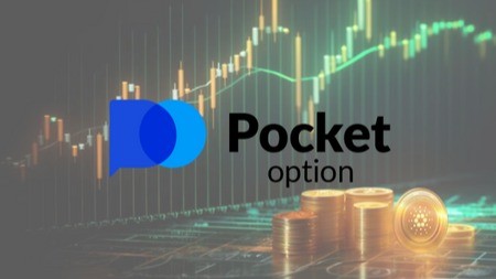 Unlocking the Potential of Pocket Option for Traders